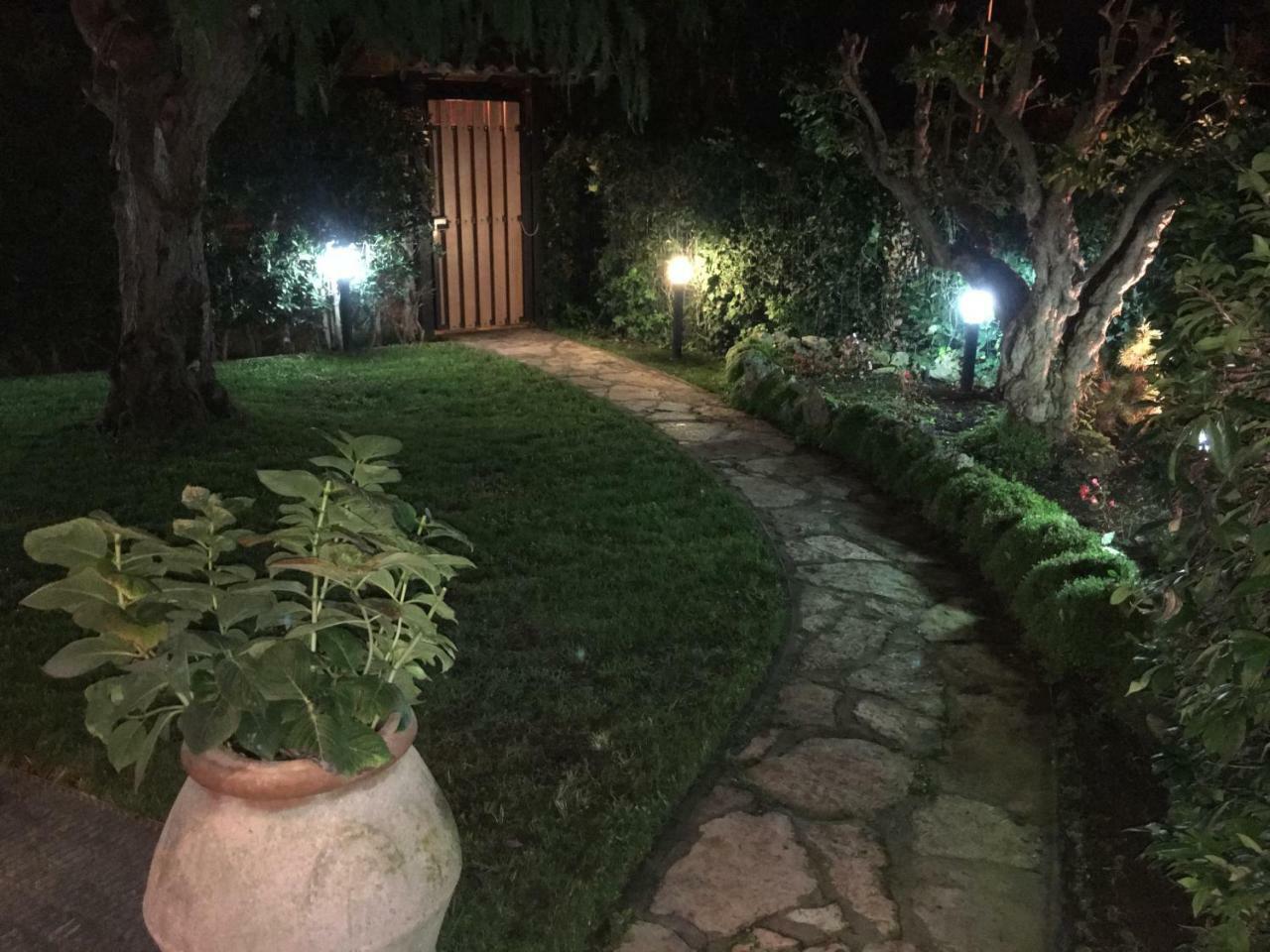 Villa Venere Near The Sea- 25 Minutes To S.Peter Ladispoli Bagian luar foto